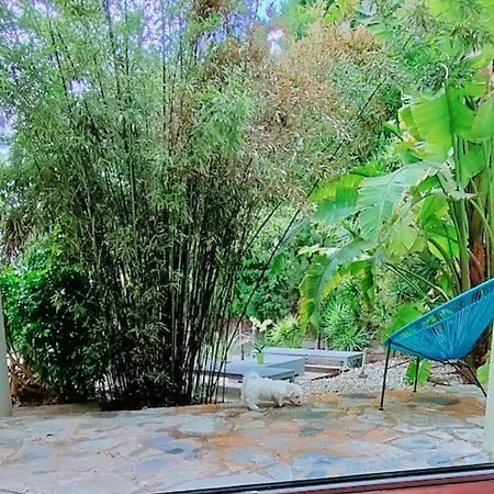 Luxueuse Avec Vue Mer